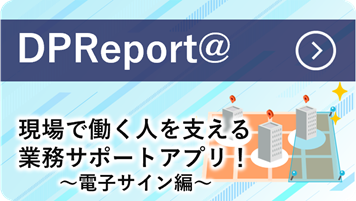 DP Report